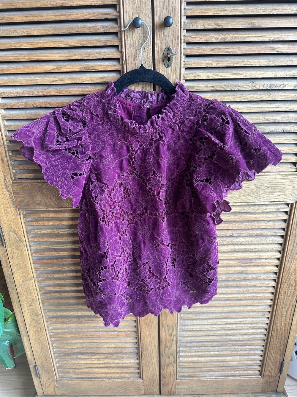 Anthropologie Plum Lace Ruffled-Neck Flutter Sleeve Top